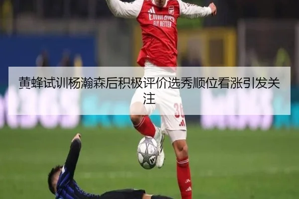 黄蜂试训杨瀚森后积极评价选秀顺位看涨引发关注 | kaiyun